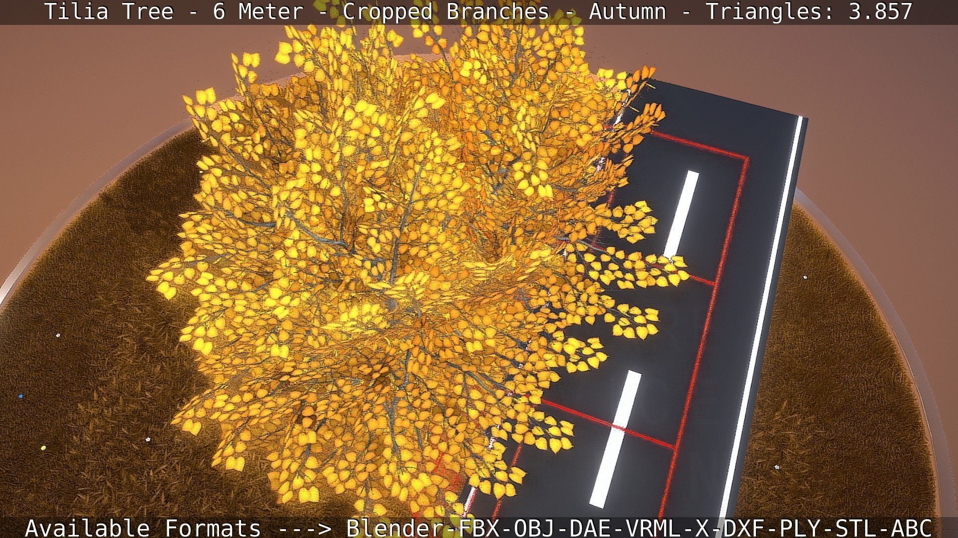 Tilia Tree - 6 Meter - cropped  branches - Autumn Low-poly 3D model_60