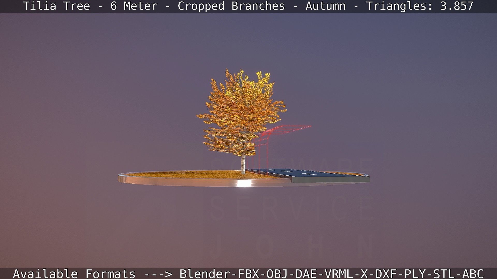 Tilia Tree - 6 Meter - cropped  branches - Autumn Low-poly 3D model_27