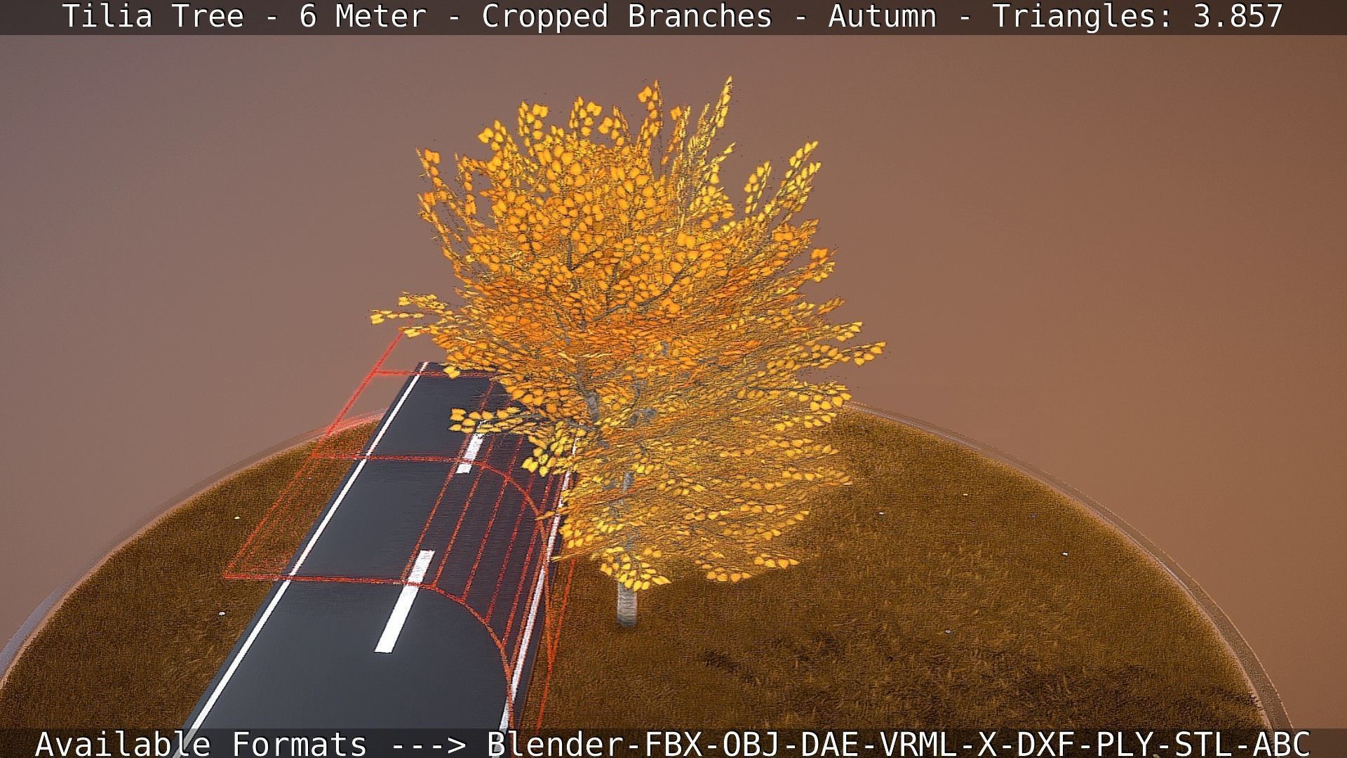 Tilia Tree - 6 Meter - cropped  branches - Autumn Low-poly 3D model_31