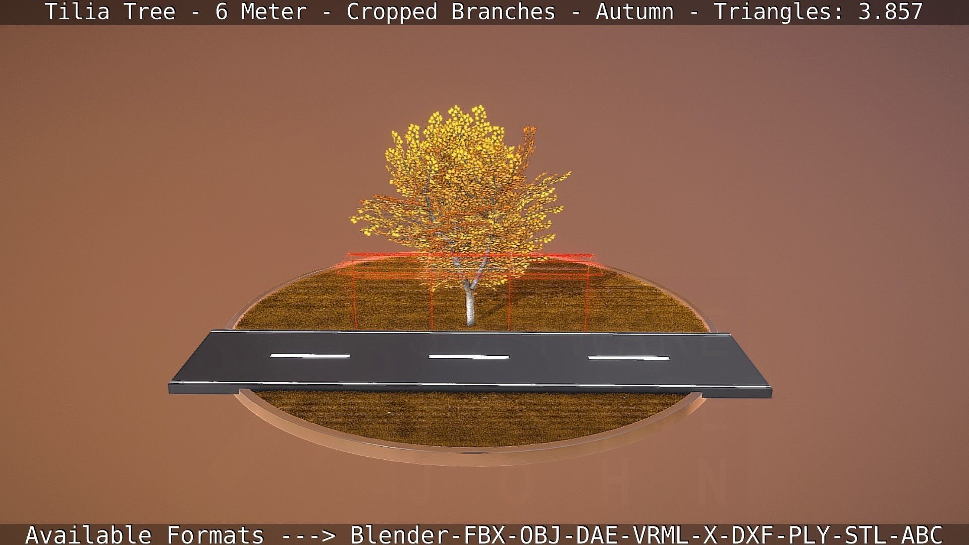 Tilia Tree - 6 Meter - cropped  branches - Autumn Low-poly 3D model_64