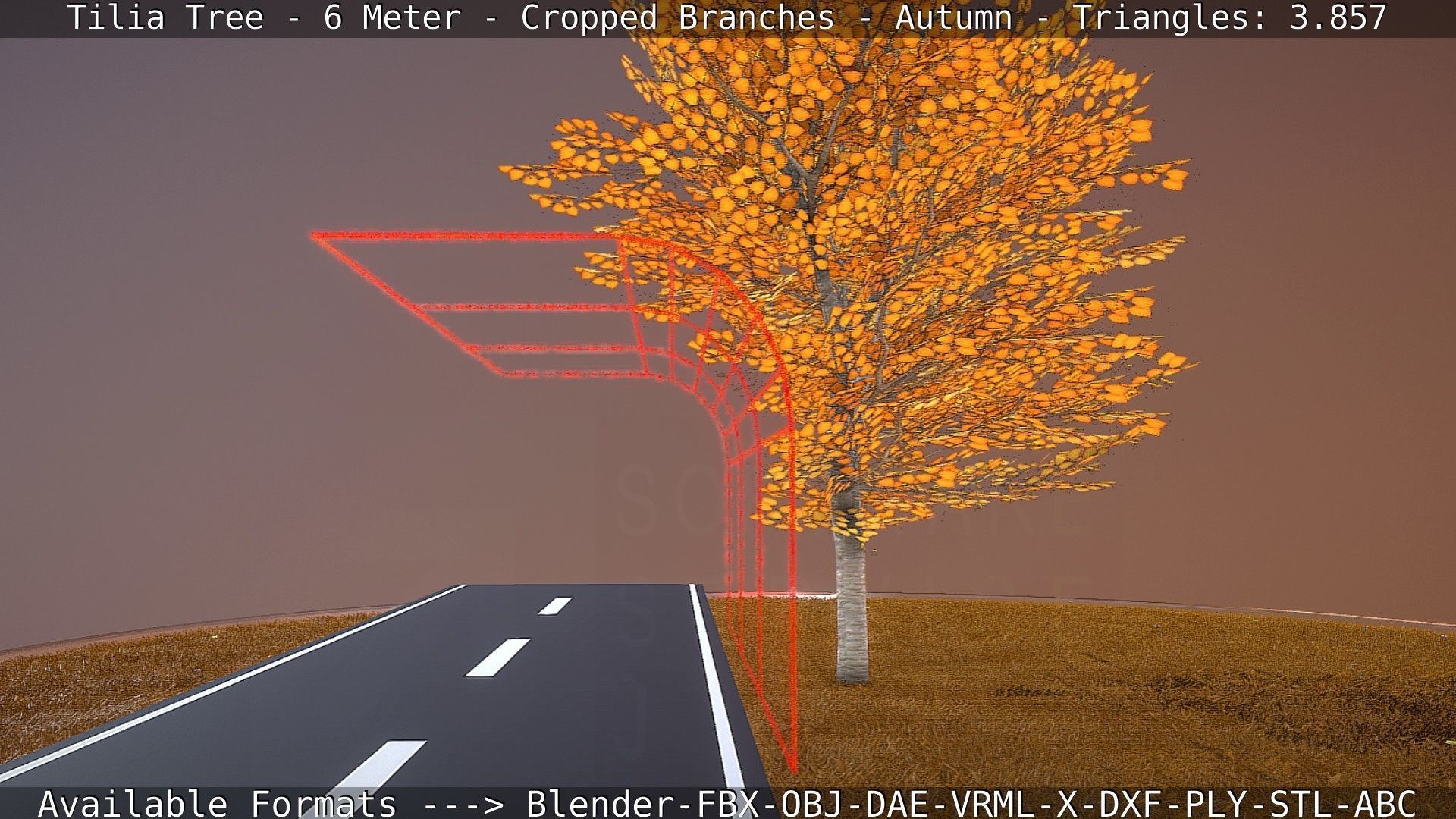 Tilia Tree - 6 Meter - cropped  branches - Autumn Low-poly 3D model_40