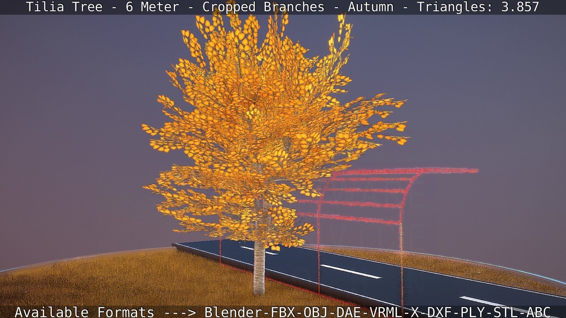 Tilia Tree - 6 Meter - cropped  branches - Autumn Low-poly 3D model_16