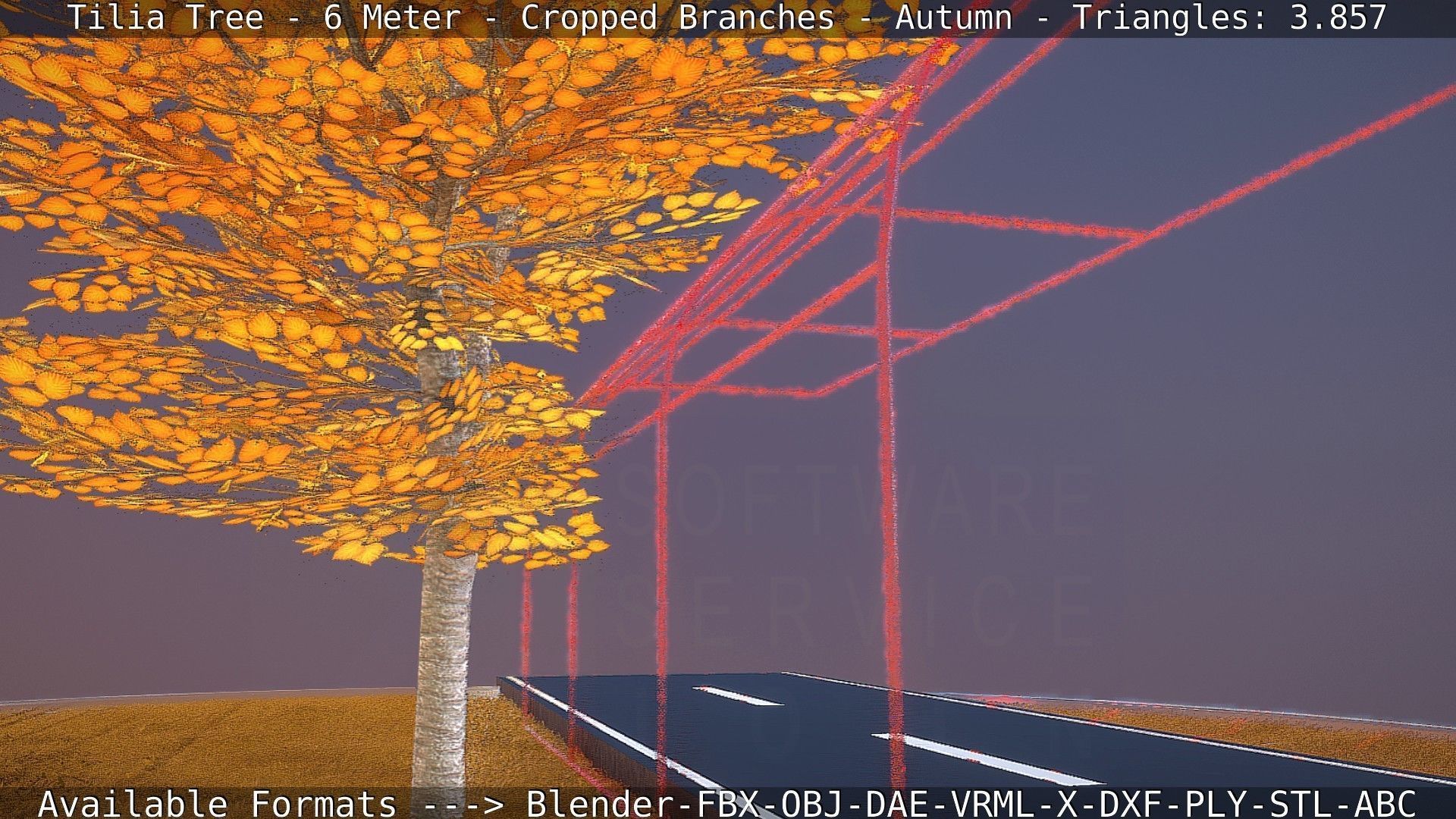 Tilia Tree - 6 Meter - cropped  branches - Autumn Low-poly 3D model_50