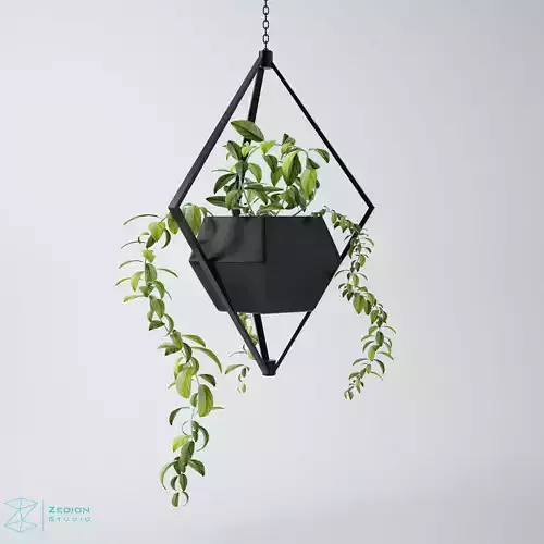 hanging plant