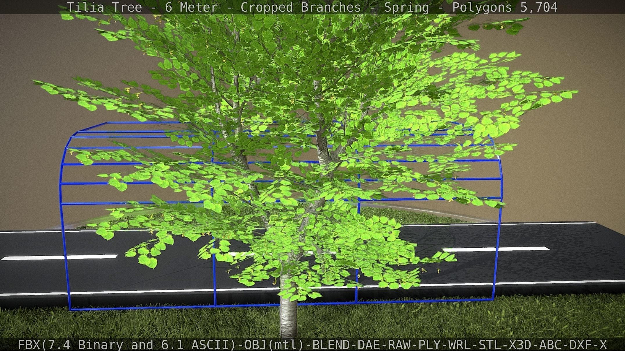 Tilia Tree - 6 Meter - Cropped Branches - Spring Low-poly 3D model_24