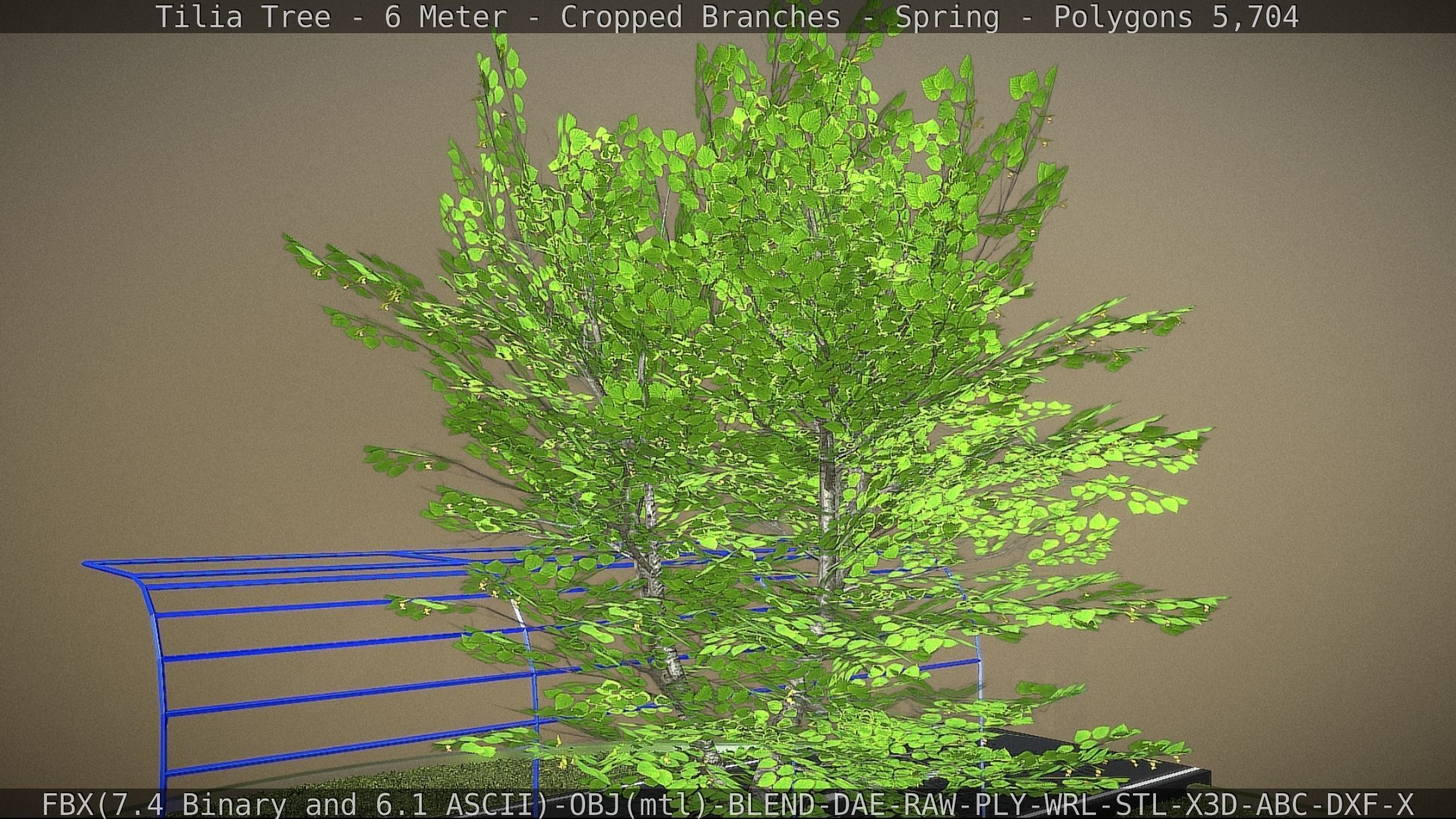 Tilia Tree - 6 Meter - Cropped Branches - Spring Low-poly 3D model_49