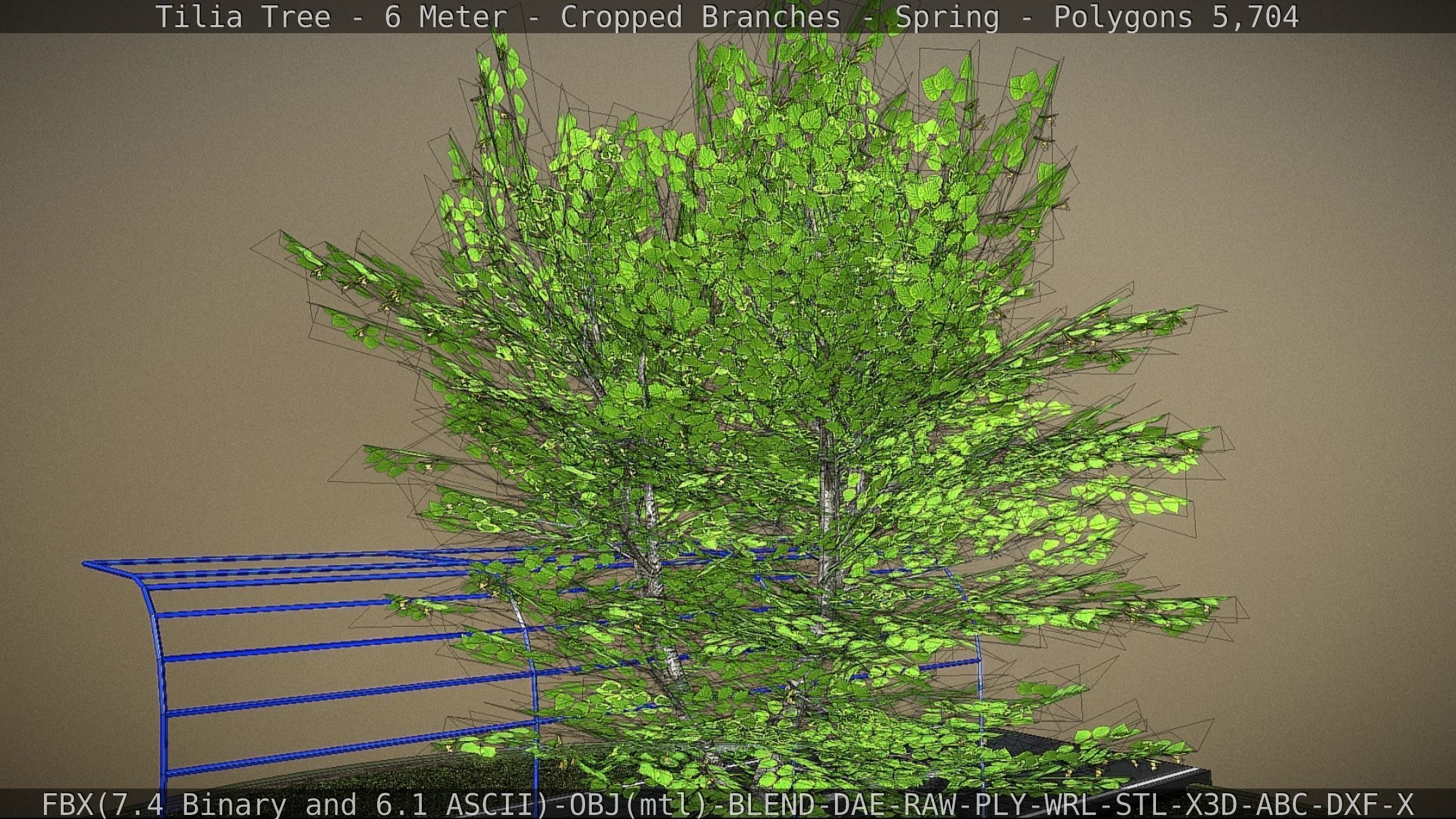 Tilia Tree - 6 Meter - Cropped Branches - Spring Low-poly 3D model_52