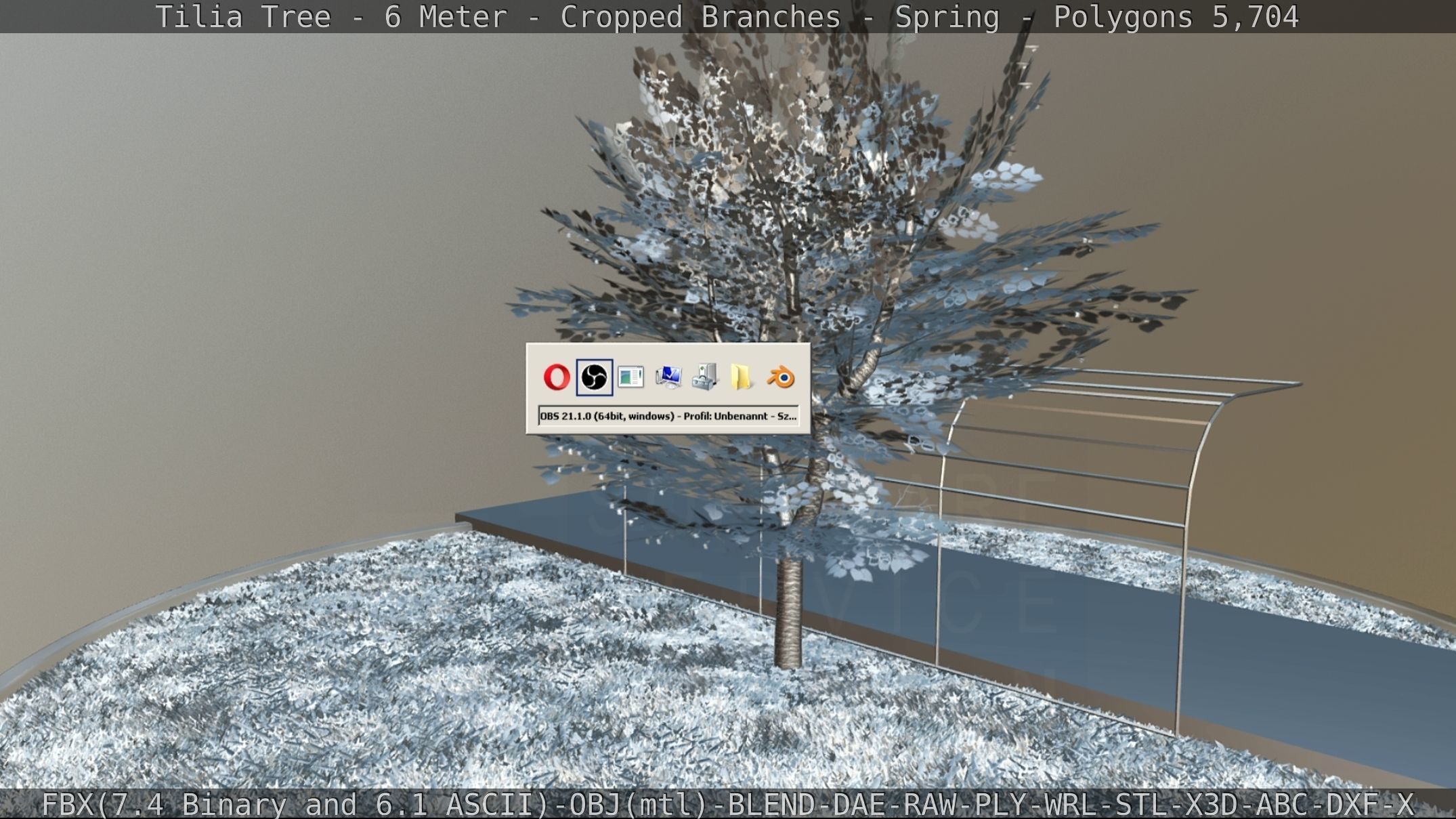 Tilia Tree - 6 Meter - Cropped Branches - Spring Low-poly 3D model_79