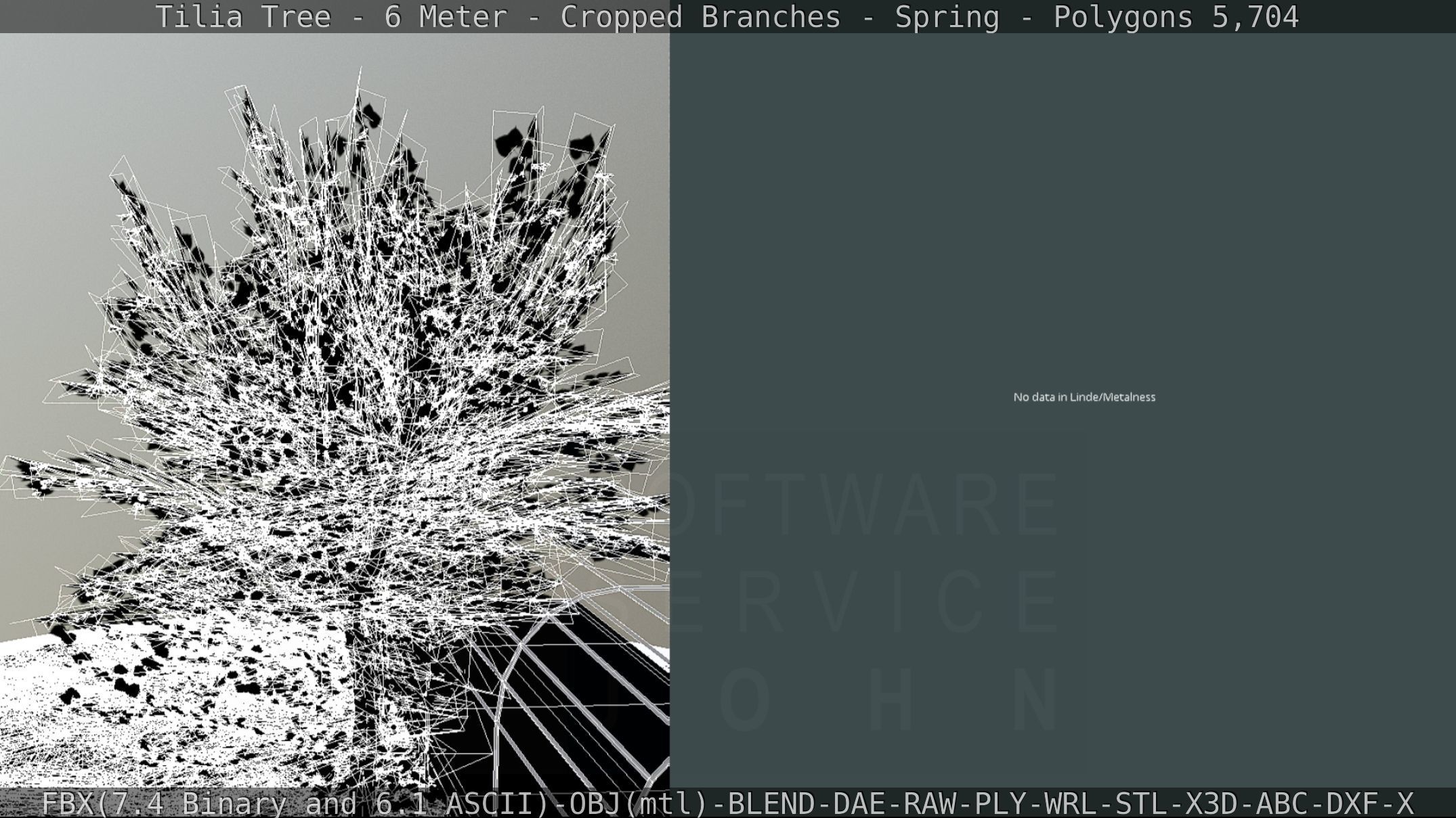 Tilia Tree - 6 Meter - Cropped Branches - Spring Low-poly 3D model_66