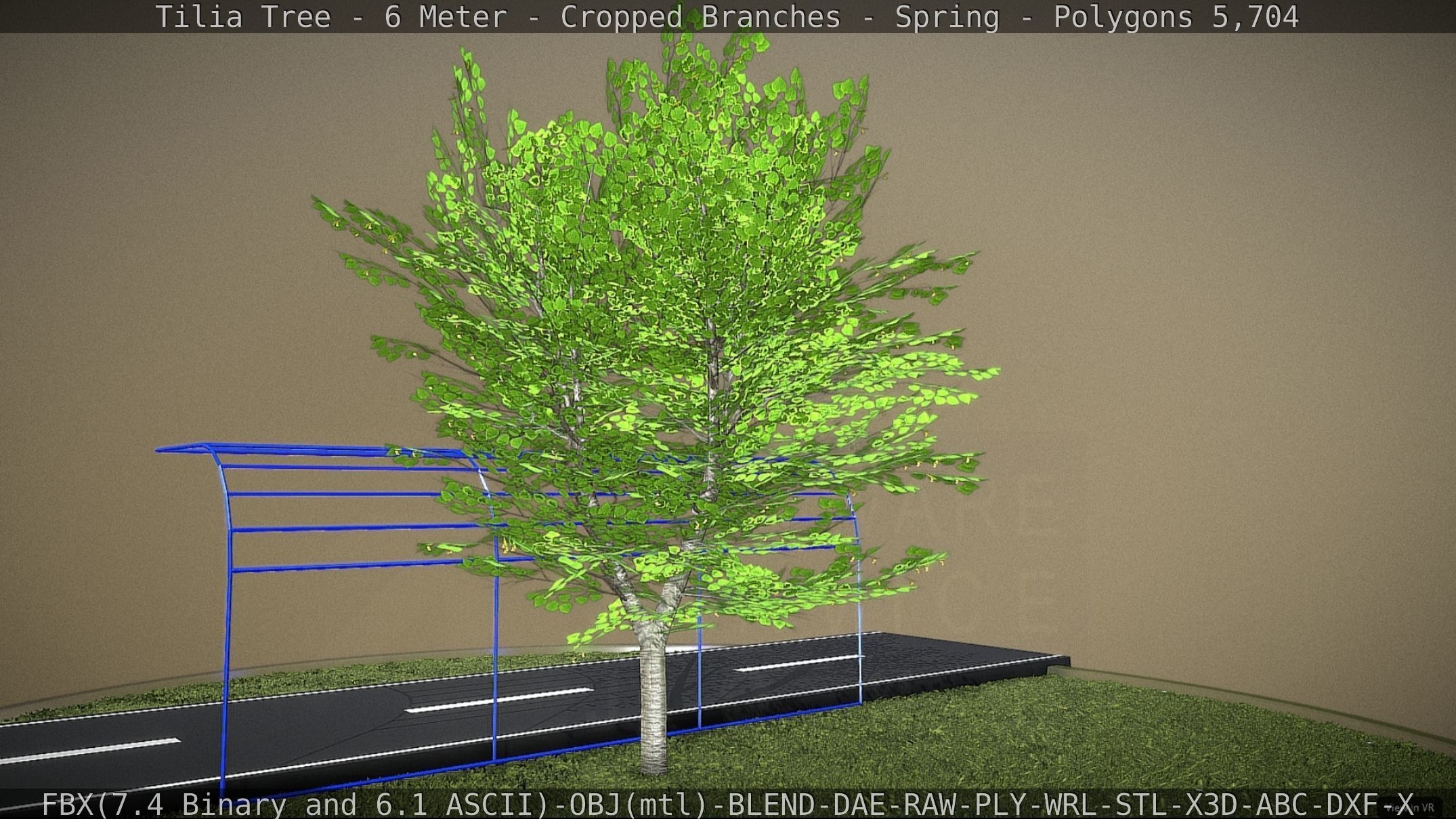 Tilia Tree - 6 Meter - Cropped Branches - Spring Low-poly 3D model_46