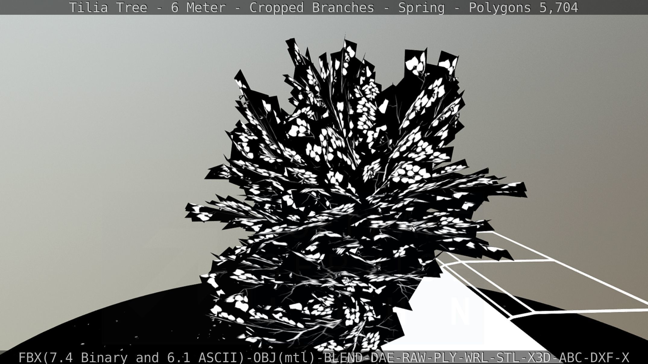 Tilia Tree - 6 Meter - Cropped Branches - Spring Low-poly 3D model_69