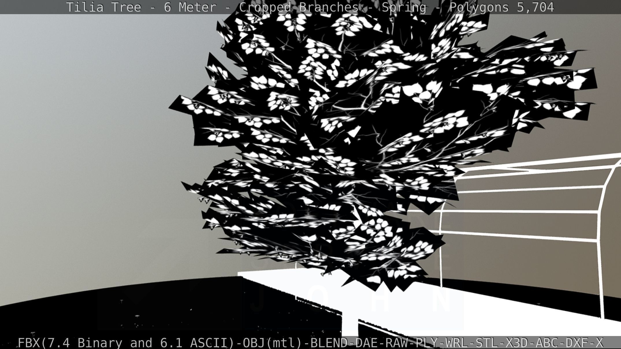 Tilia Tree - 6 Meter - Cropped Branches - Spring Low-poly 3D model_68