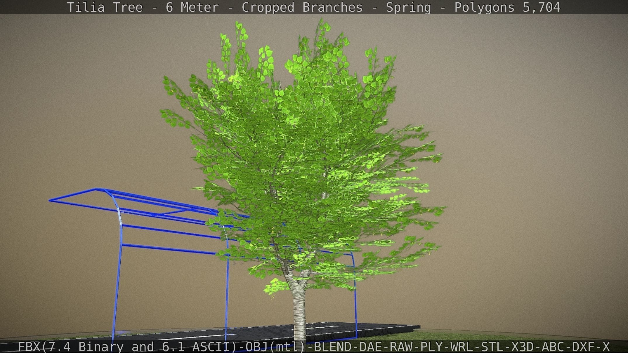 Tilia Tree - 6 Meter - Cropped Branches - Spring Low-poly 3D model_14