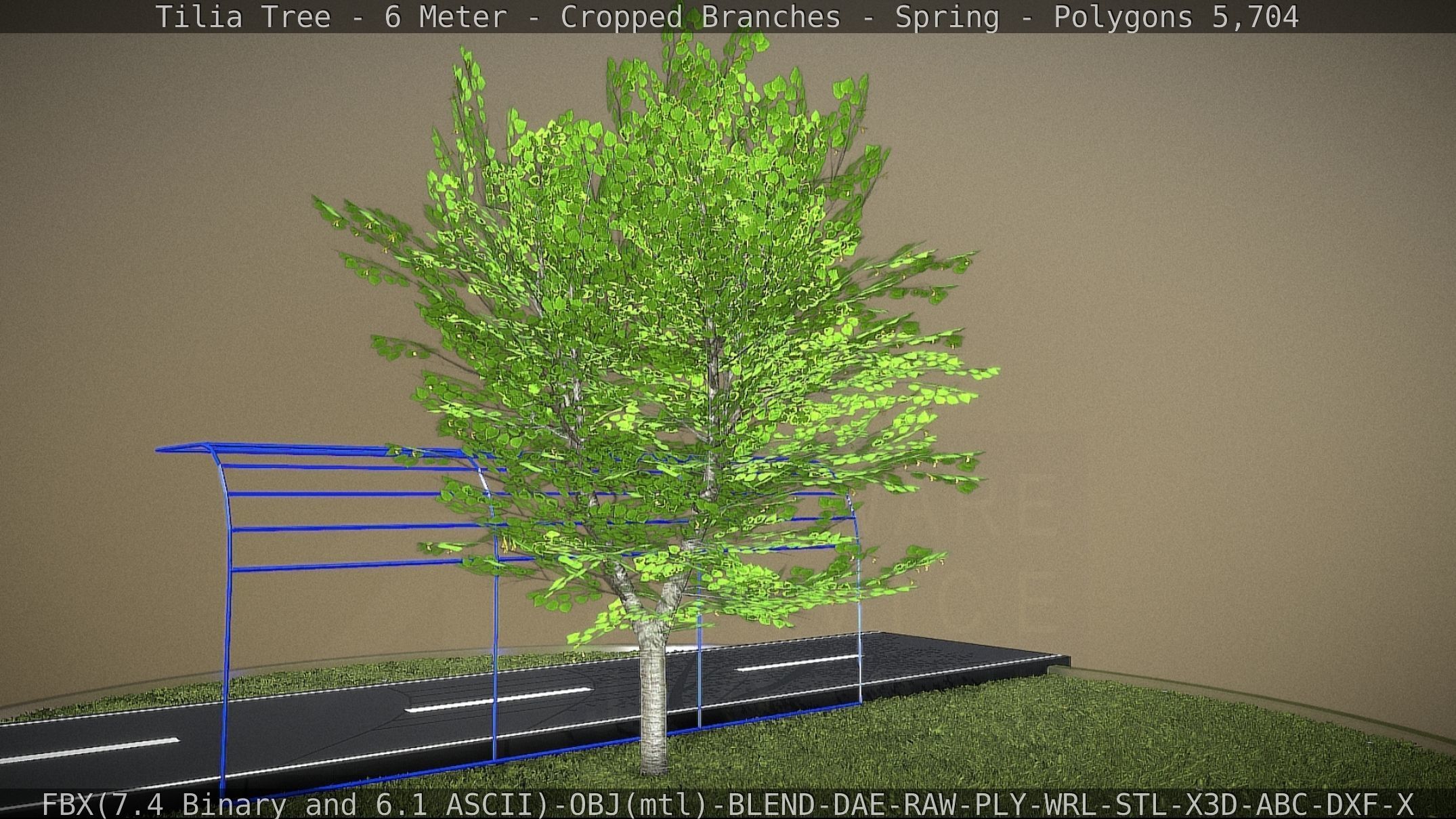 Tilia Tree - 6 Meter - Cropped Branches - Spring Low-poly 3D model_47
