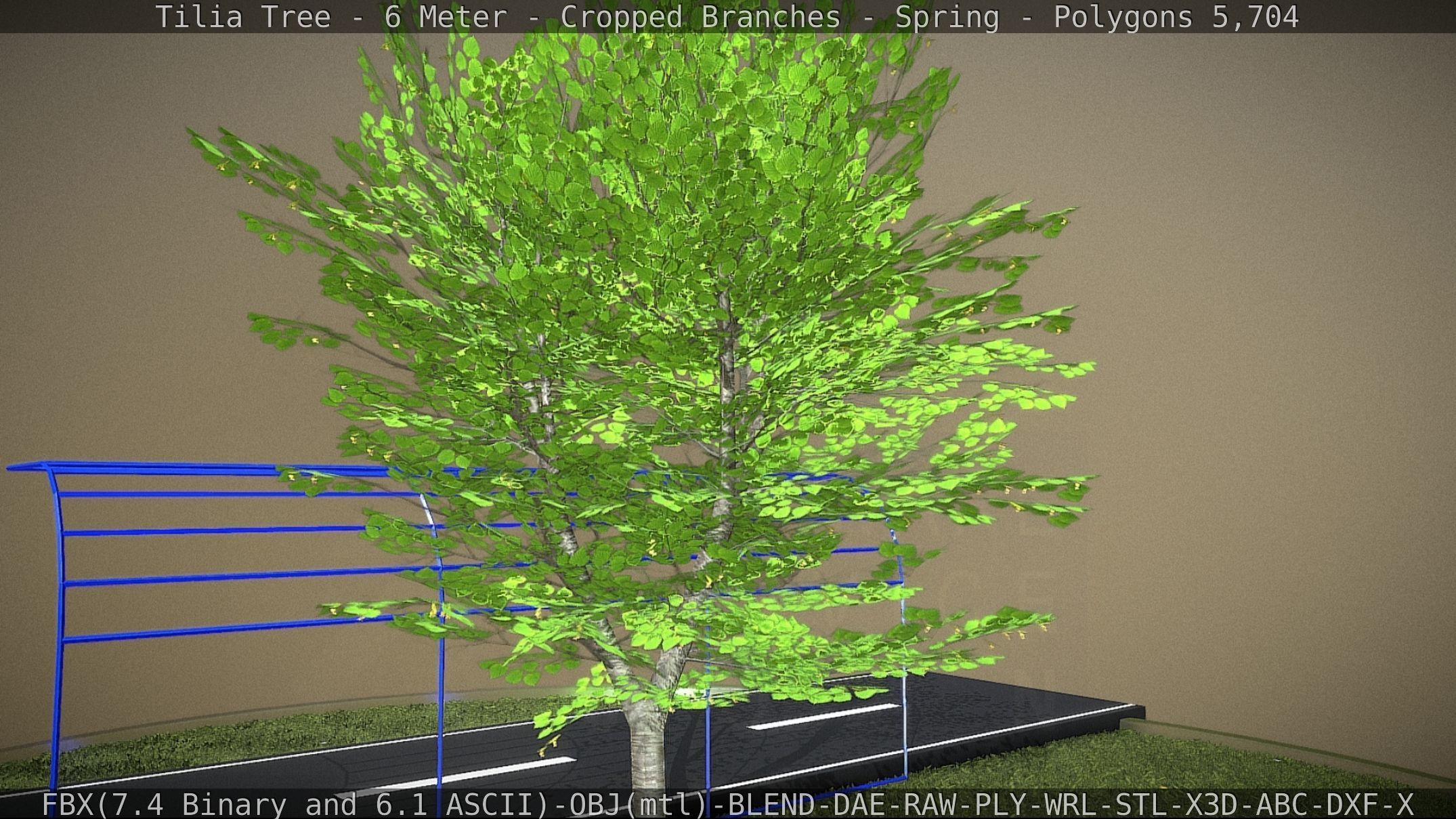 Tilia Tree - 6 Meter - Cropped Branches - Spring Low-poly 3D model_48