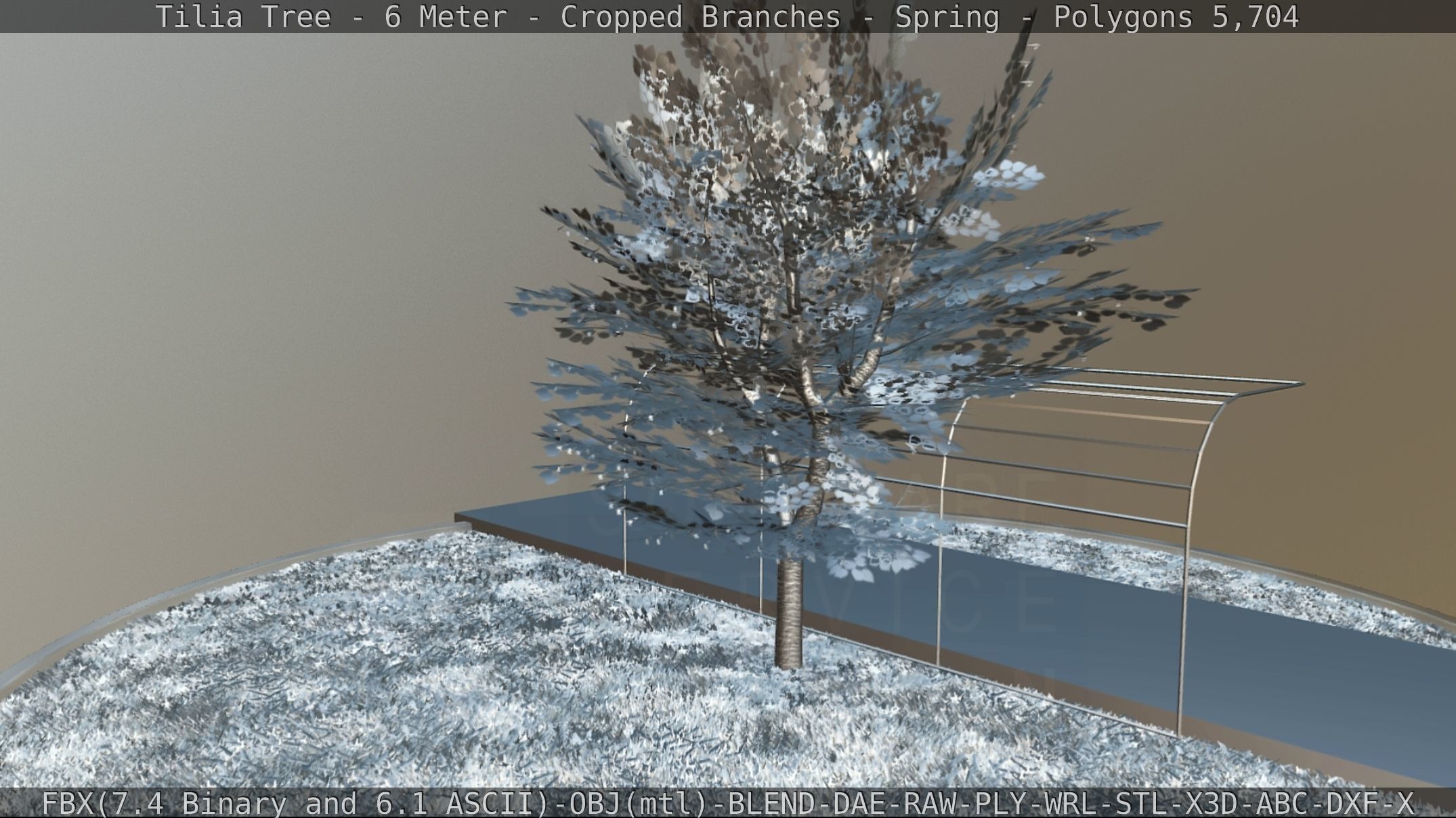 Tilia Tree - 6 Meter - Cropped Branches - Spring Low-poly 3D model_81