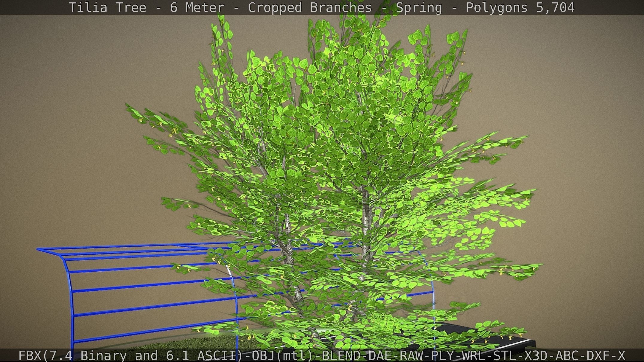 Tilia Tree - 6 Meter - Cropped Branches - Spring Low-poly 3D model_50