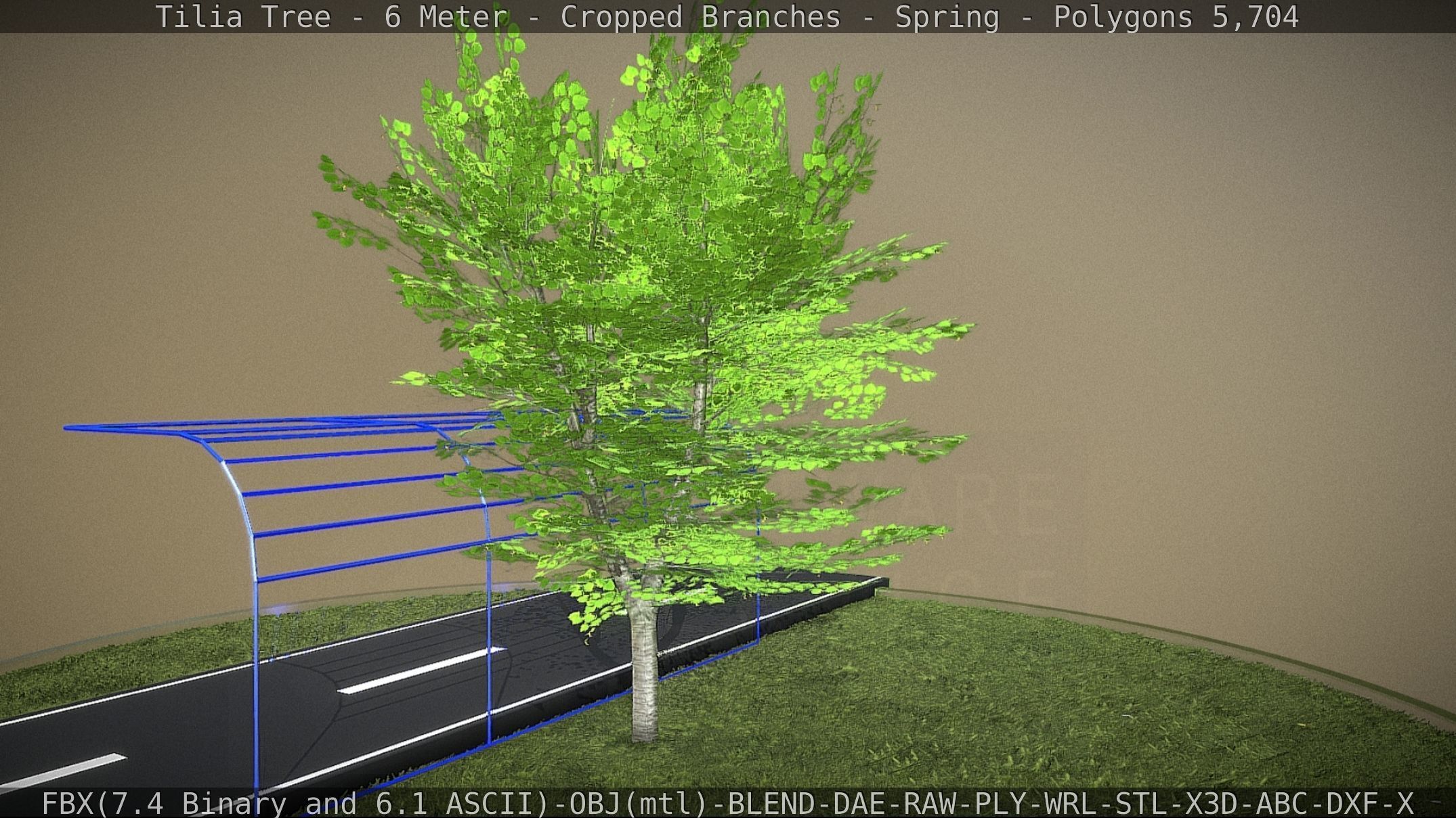 Tilia Tree - 6 Meter - Cropped Branches - Spring Low-poly 3D model_45
