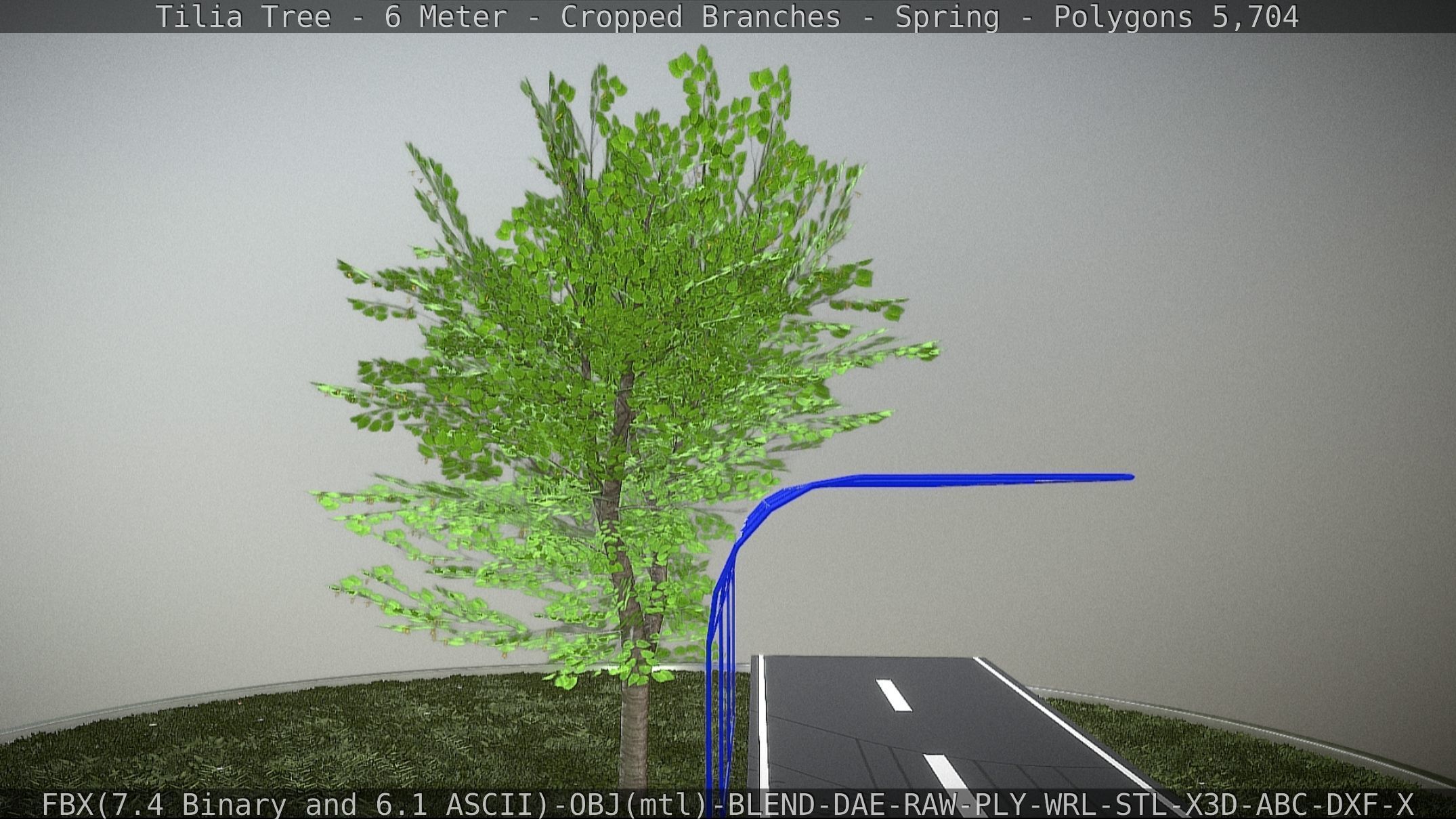 Tilia Tree - 6 Meter - Cropped Branches - Spring Low-poly 3D model_11