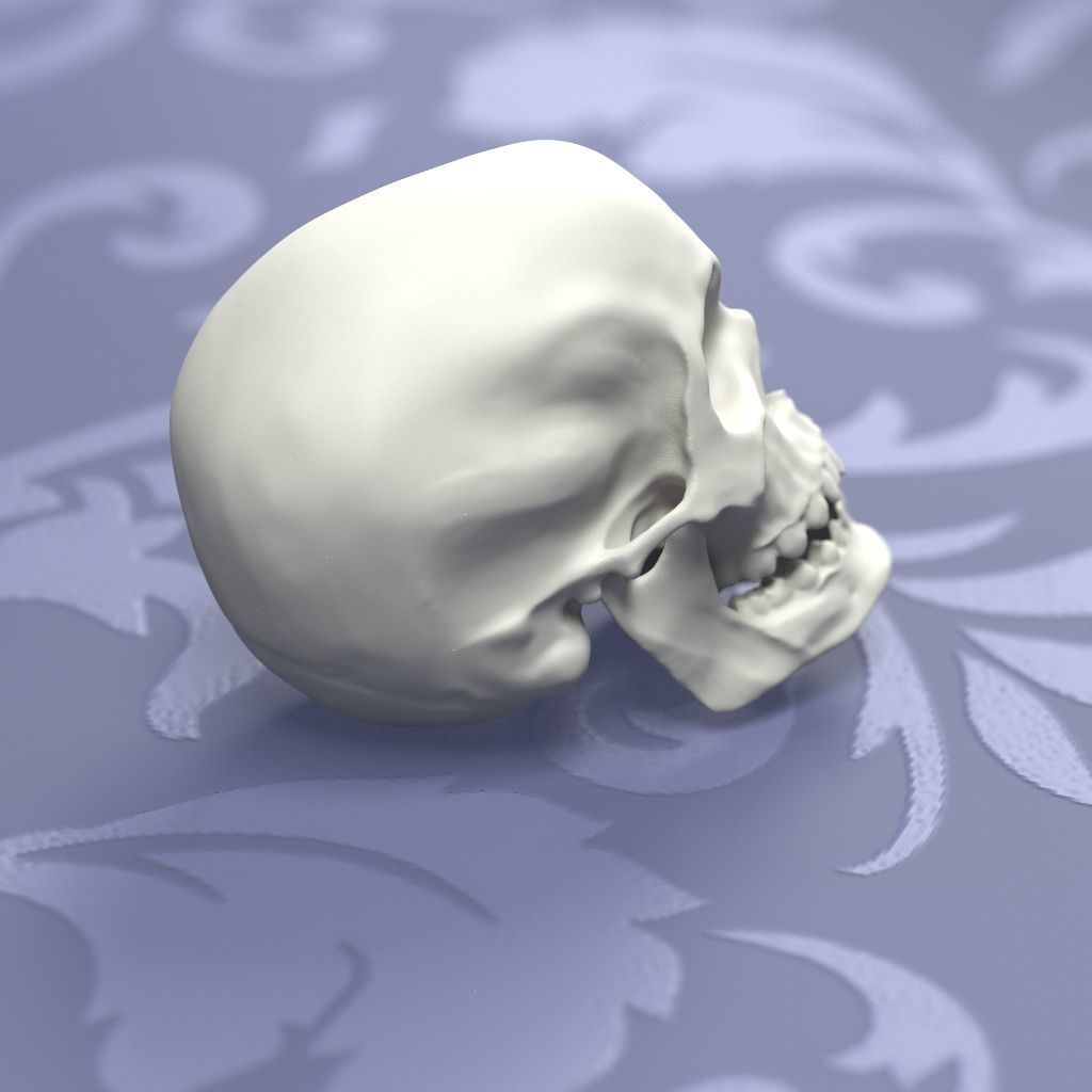 Printable Skull 3D print model_1