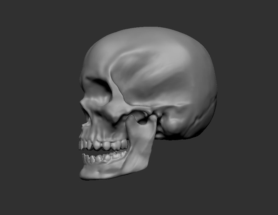 Printable Skull 3D print model_6