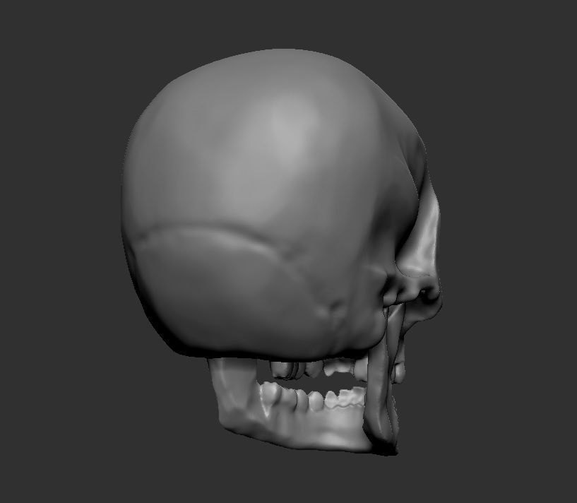 Printable Skull 3D print model_3