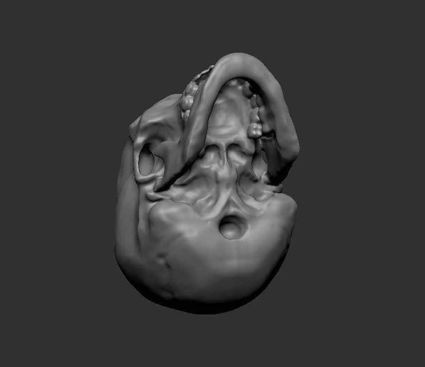 Printable Skull 3D print model_5
