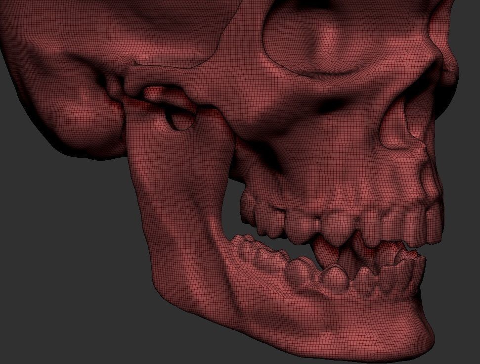 Printable Skull 3D print model_8