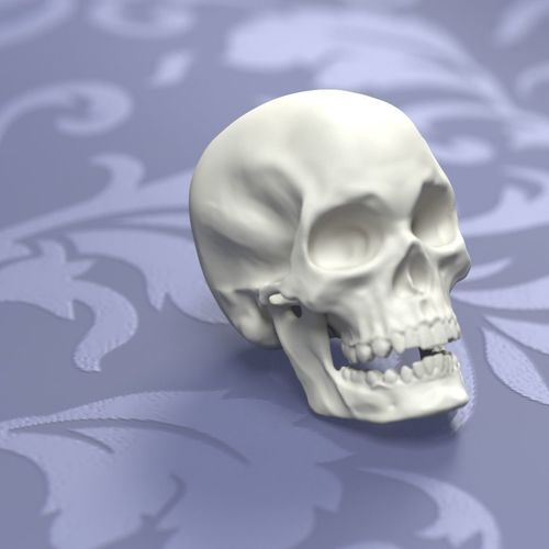 Printable Skull 3D print model