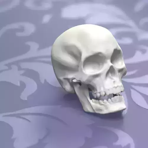Printable Skull 3D print model