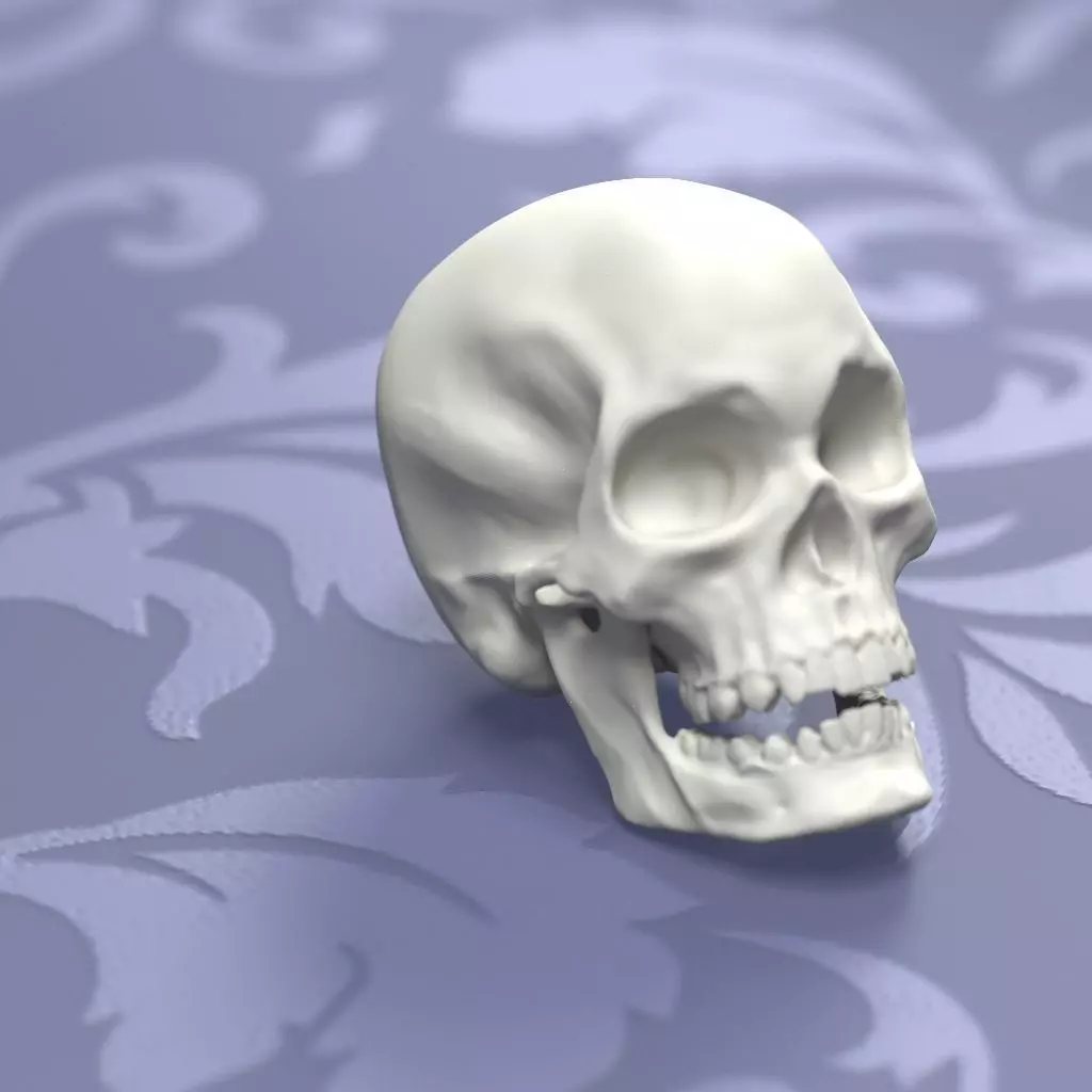Printable Skull 3D print model_0
