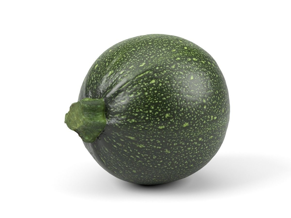 Photorealistic Round Zucchini 3D Scan 3D model_2