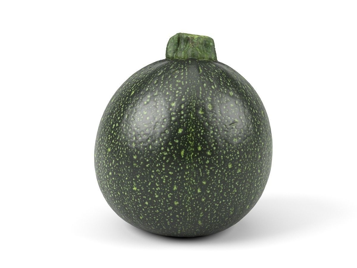 Photorealistic Round Zucchini 3D Scan 3D model_1