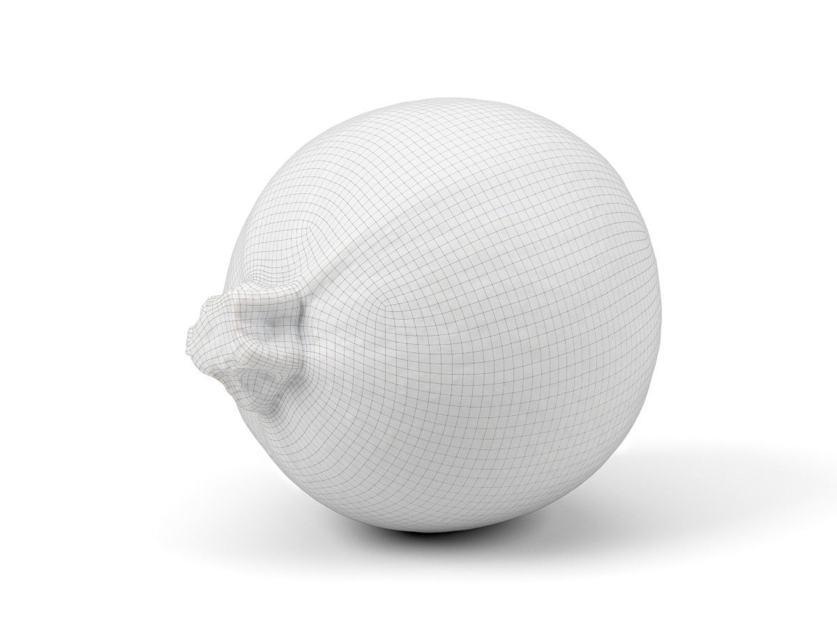 Photorealistic Round Zucchini 3D Scan 3D model_6