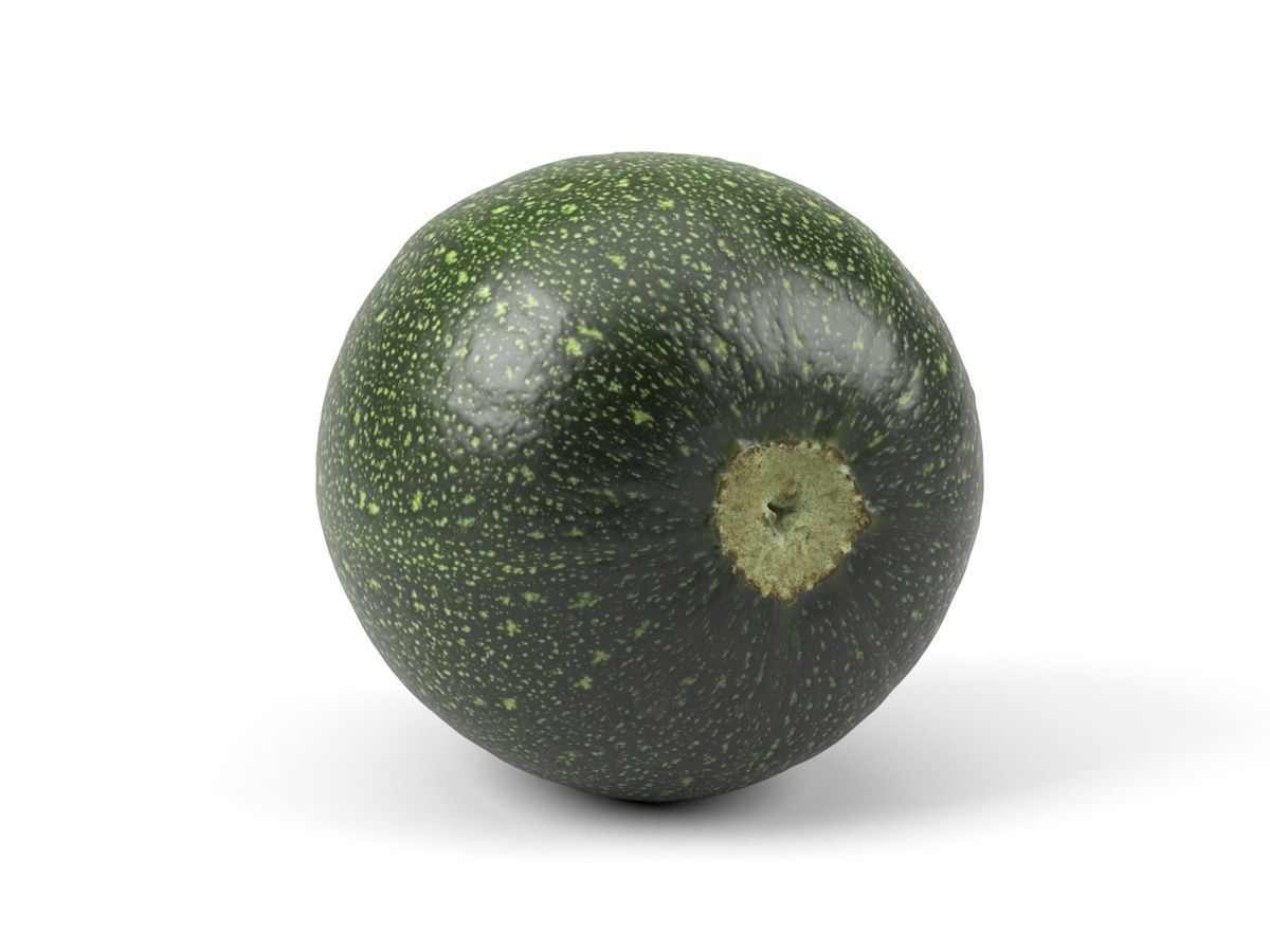 Photorealistic Round Zucchini 3D Scan 3D model_4