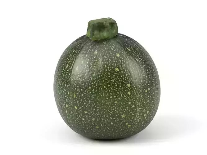 Photorealistic Round Zucchini 3D Scan