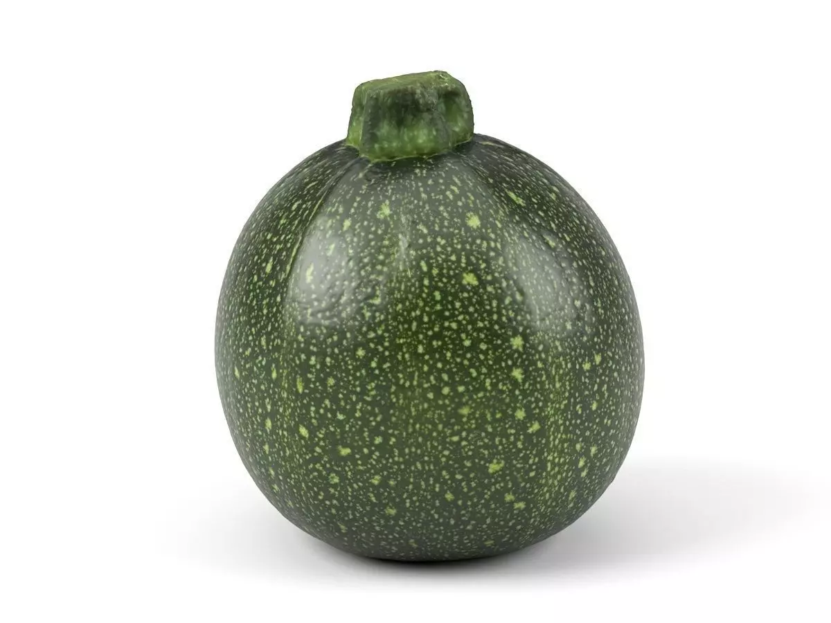 Photorealistic Round Zucchini 3D Scan 3D model_0