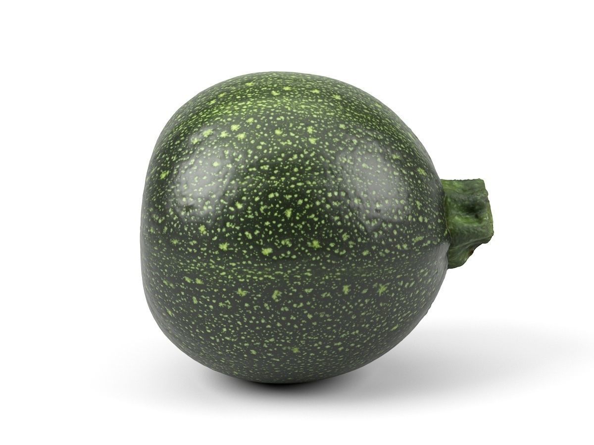 Photorealistic Round Zucchini 3D Scan 3D model_3