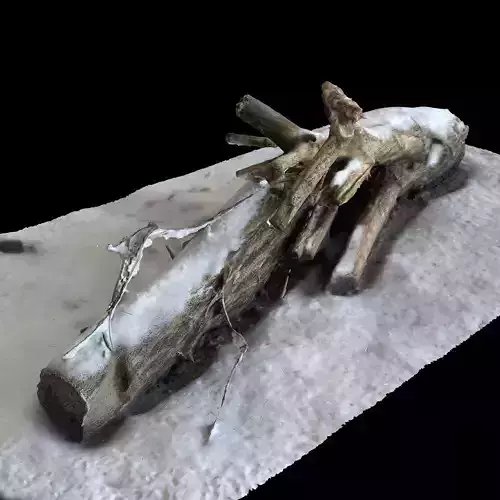 Photorealistic 3d Scanned Log Model with Snow