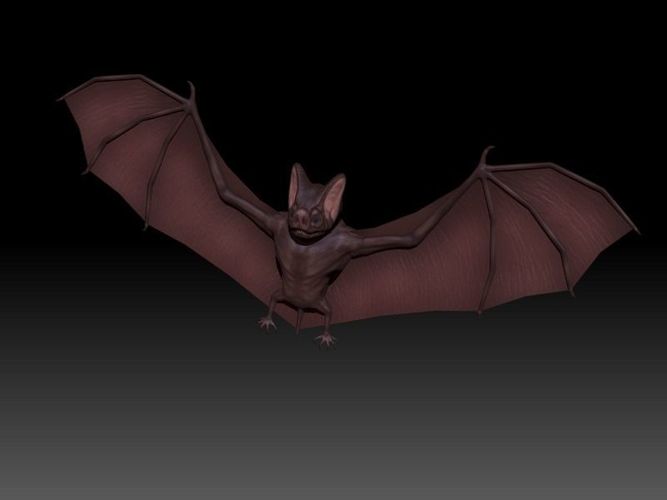 3D Bat Low-poly 3D model