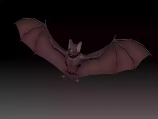 3D Bat Low-poly 3D model