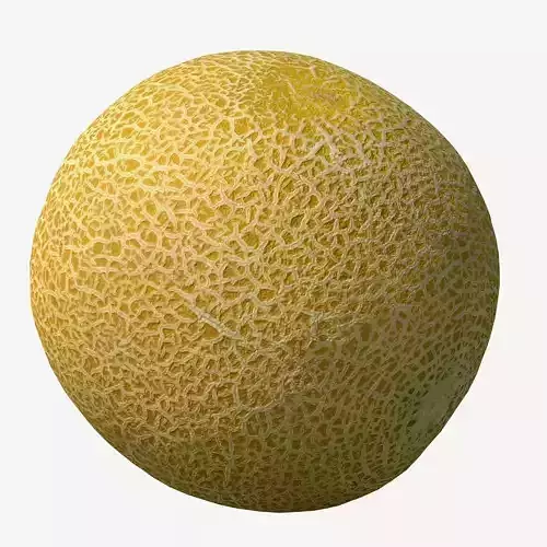 Melon cantaloupe Low-poly 3D model