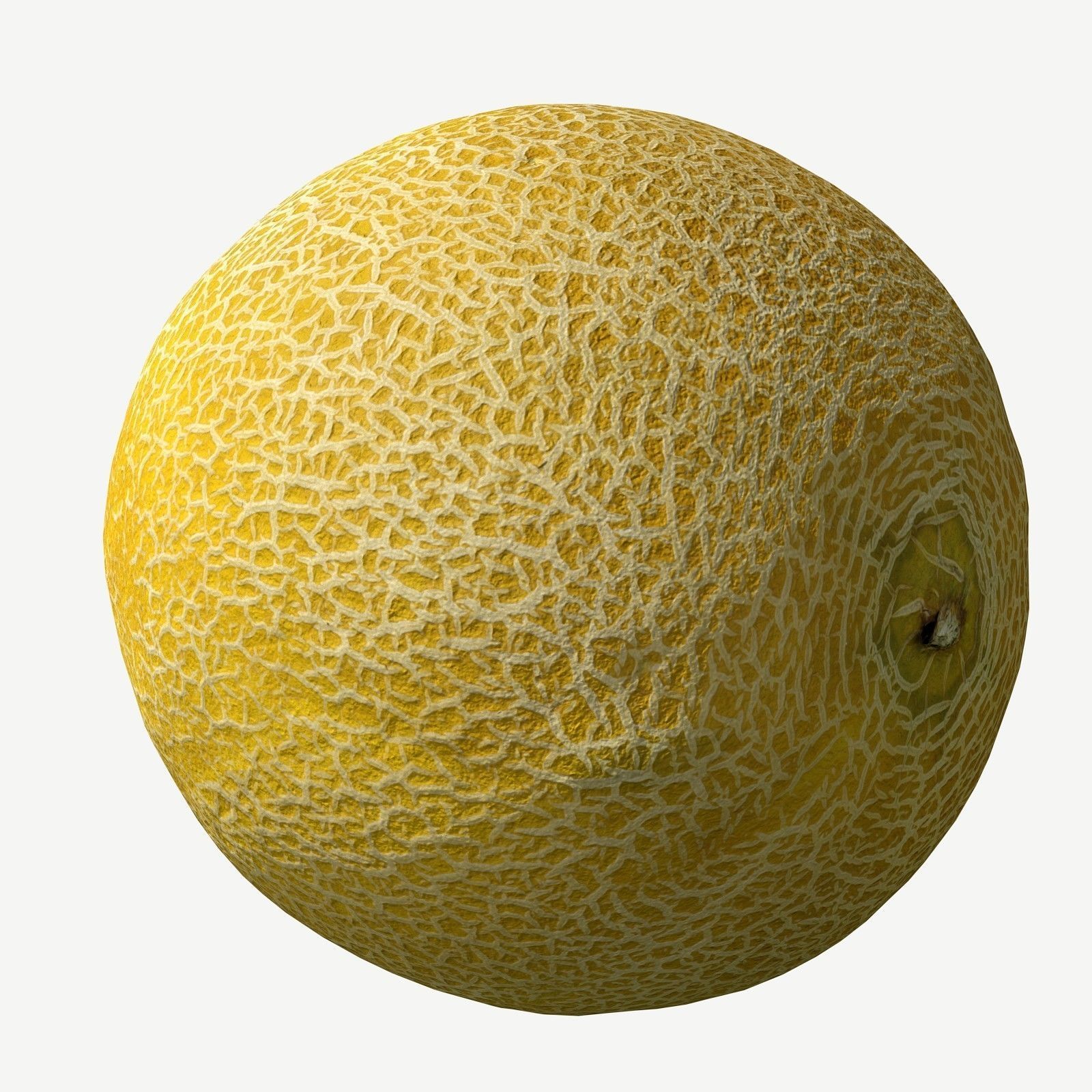 Melon cantaloupe Low-poly 3D model_12