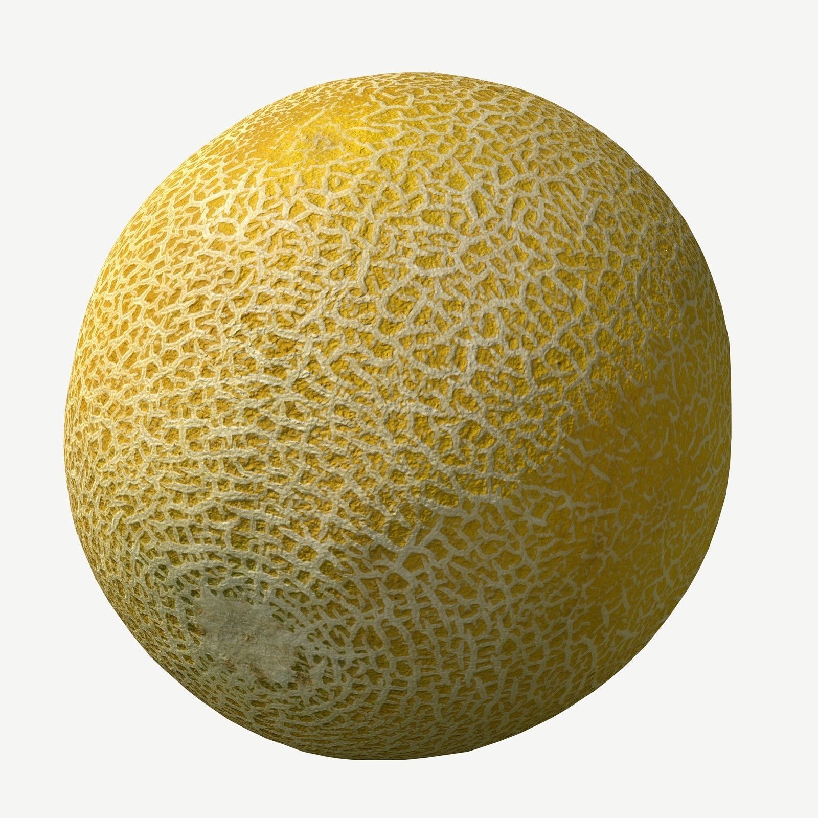 Melon cantaloupe Low-poly 3D model_4