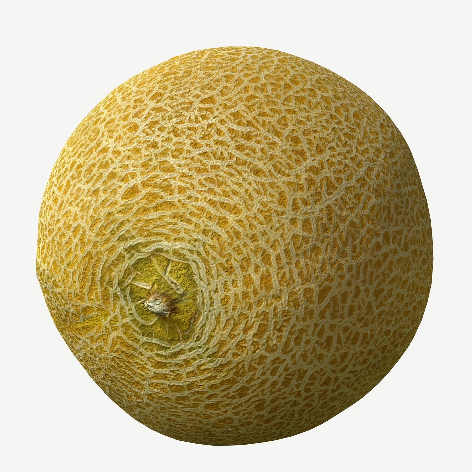 Melon cantaloupe Low-poly 3D model_3