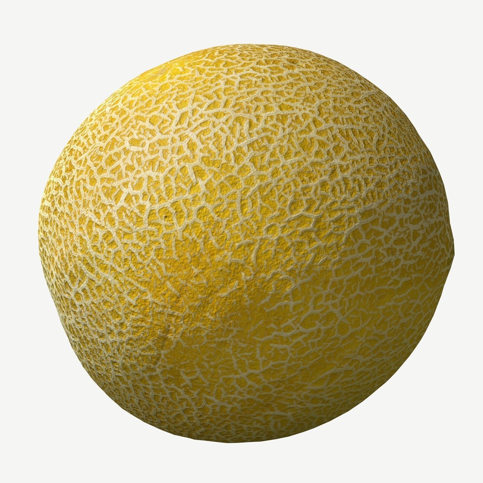 Melon cantaloupe Low-poly 3D model_2