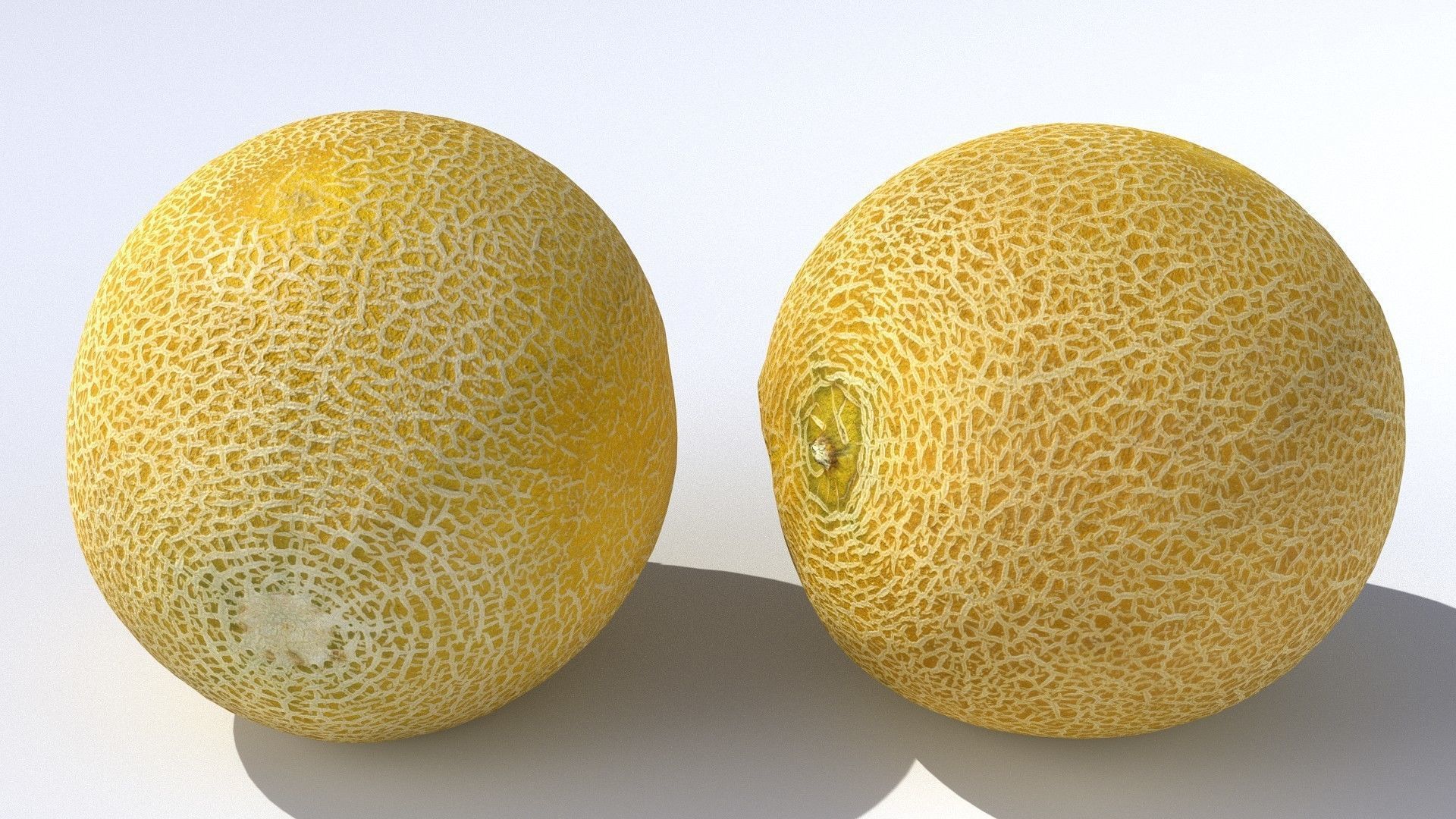 Melon cantaloupe Low-poly 3D model_5