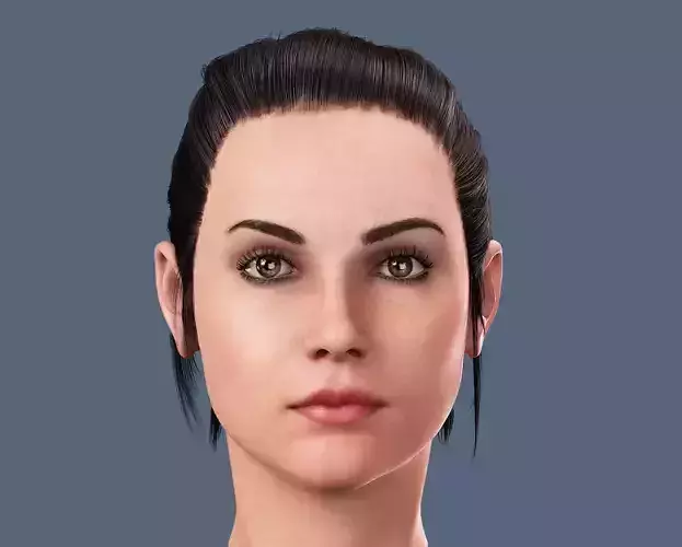 Realistic  Woman Head