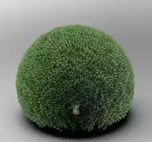 Spherical Tree 