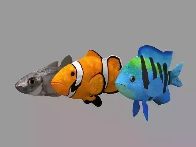 FishRig All Low-poly 3D model